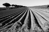 Mostra fotografica Enrico Baglioni - Casa Ariosto, Ferrara, 8 novembre -20 dicembre 2019