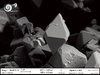 Immagine tratta dal microscopio della mostra "Nanomondo" - Museo storia naturale di Ferrara, 27 ottobre 2018-16 giugno 2019