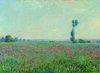 Mostra Pal Diamanti FE 030 Claude Monet - Campo di papaveri, 1881