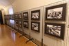 "Il mercato, ieri, oggi e domani" in mostra in palazzo del Municipio, a Ferrara
