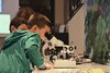 Museo di storia naturale di Ferrara: formazione