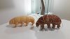 Modellino di tardigrado