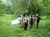 Museo di Storia naturale di Ferrara - corso Pollinators