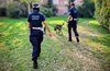Polizia locale con unità cinofila - immagine di repertorio