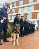 Polizia locale Ferrara - foto di repertorio