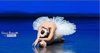 Scuola di danza Luisa Tagliani: saggi aperti al pubblico maggio-giugno 2017