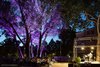 sinfonie in giardino_archivio
