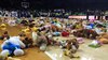 "Teddy Bear Toss", il tradizionale "lancio degli orsacchiotti" solidali