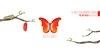 TedXFerrara 2021 - logo