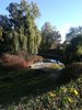 Il parco a Torun, in Polonia