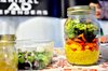 Vegan festival in piazza a Ferrara sabato 13 e domenica 14 maggio 2017
