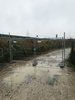 Via Pelosa, Ferrara - cancello nell'area comunale ripulita