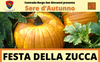 immagine festa della zucca