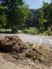 viale Alfonso d'Este_2